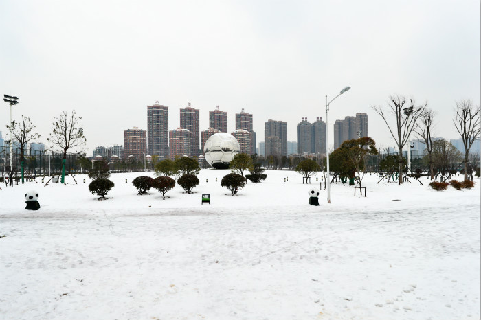 一場雪，體育中心美得不要不要的 但最美的風景還是他們(圖2)