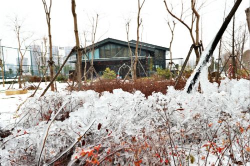 一場雪，體育中心美得不要不要的 但最美的風景還是他們(圖3)