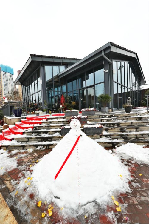 一場雪，體育中心美得不要不要的 但最美的風景還是他們(圖11)